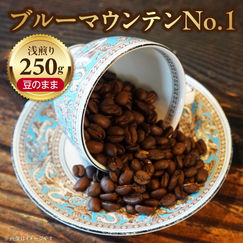 ブルーマウンテンＮｏ．１（豆のまま） ［104T03］