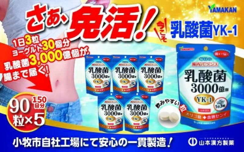 ＜5ヶ月に1度、2回送付定期便＞乳酸菌粒