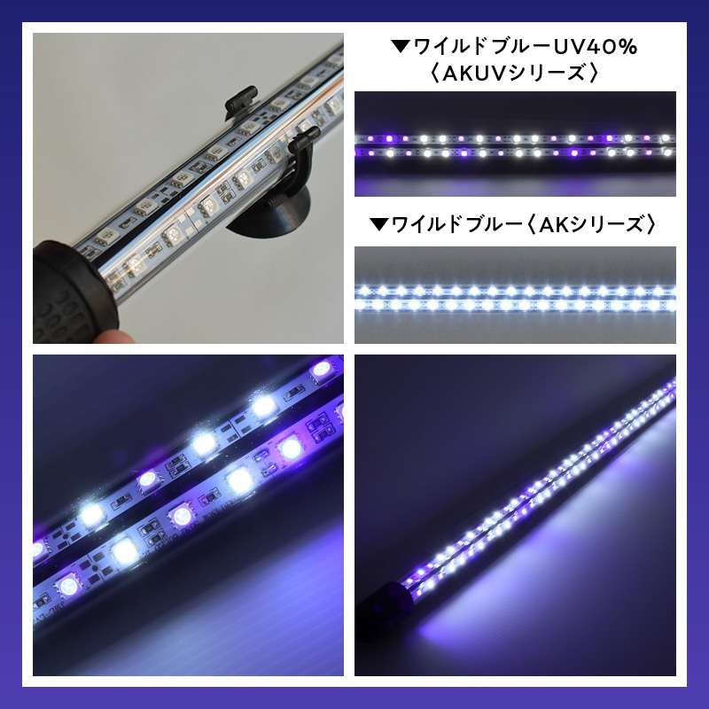 スリム&高耐久!金龍を美しく、UV-Aチップ配合の水中LED|AK-120UV-EX
