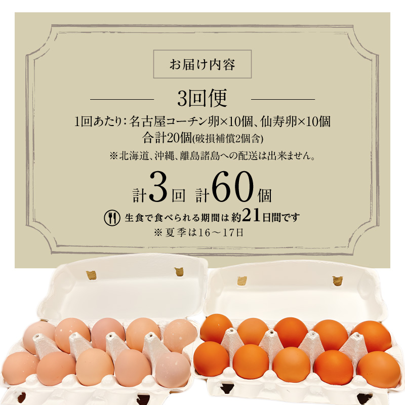 【3回便】名古屋コーチン卵・仙寿卵お試しセット（各10個入り）×3回（計各30個） ［006K02-T］