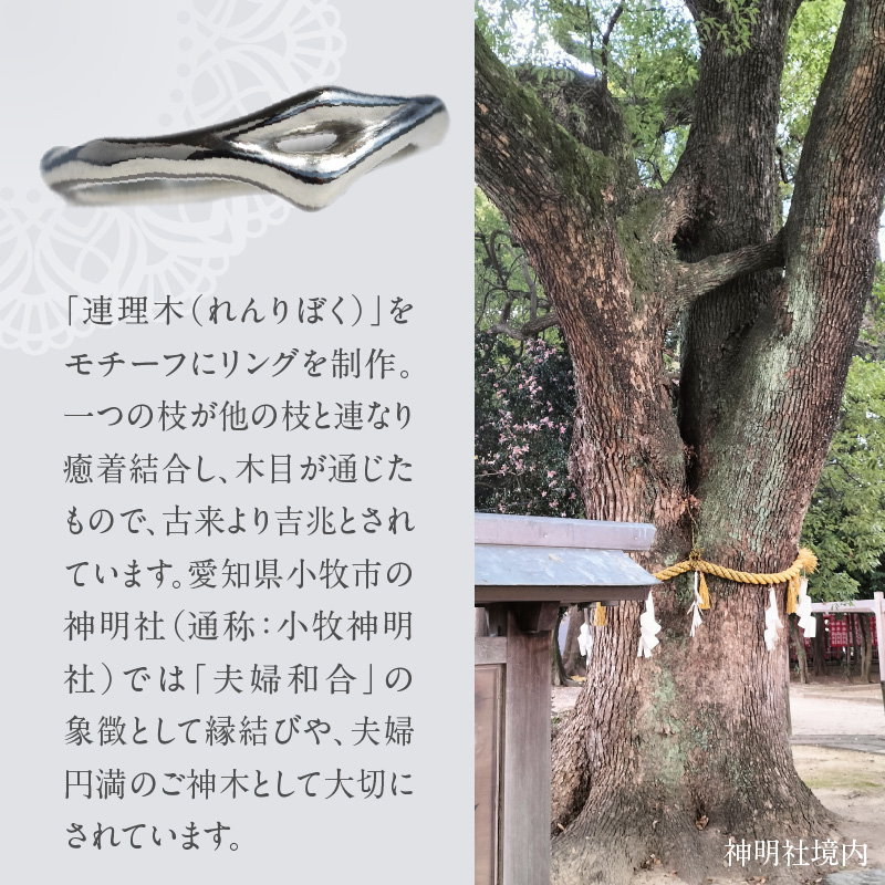 SV連理木リング〈2.5mm幅〉(22号)