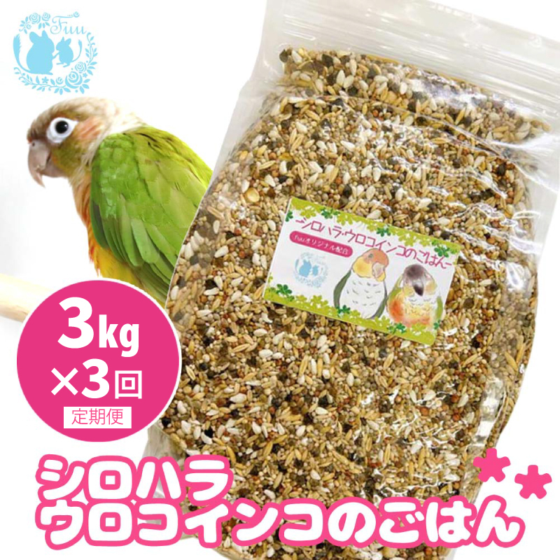 【3ヶ月定期便】fuu シロハラインコ・ウロコインコのごはん（3kg）