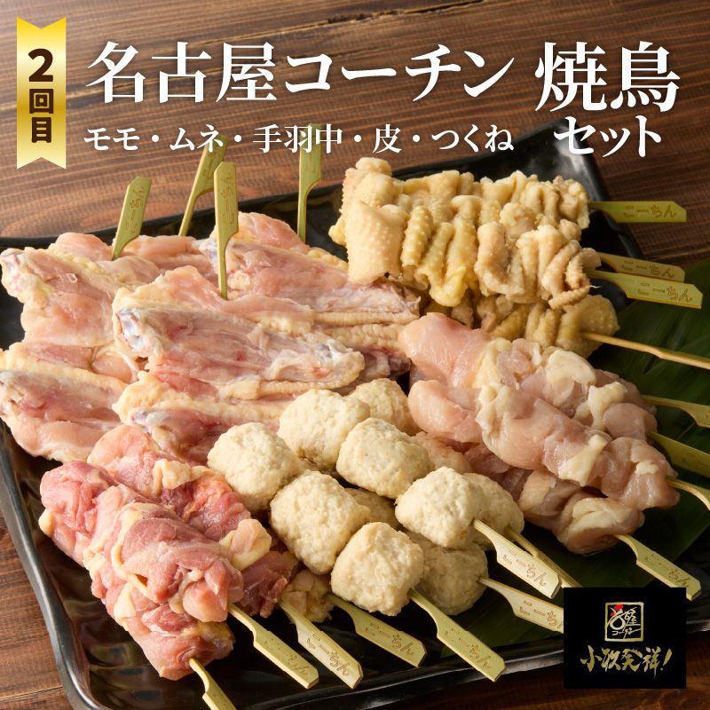 【半年に1回　計2回定期便】名古屋コーチン鍋&名古屋コーチン1羽分セット・名古屋コーチン焼鳥セット 日本三大地鶏 鍋セット 鶏肉 もも肉 むね肉 ササミ 肉団子 鍋料理 焼き鳥セット ［001T08-T］