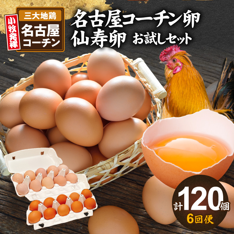 【6回便】名古屋コーチン卵・仙寿卵お試しセット（各10個入り）×6回（計各60個） ［006K04-T］