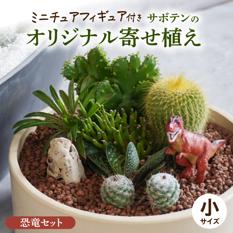 サボテンのオリジナル寄せ植え（小）【恐竜セット】
