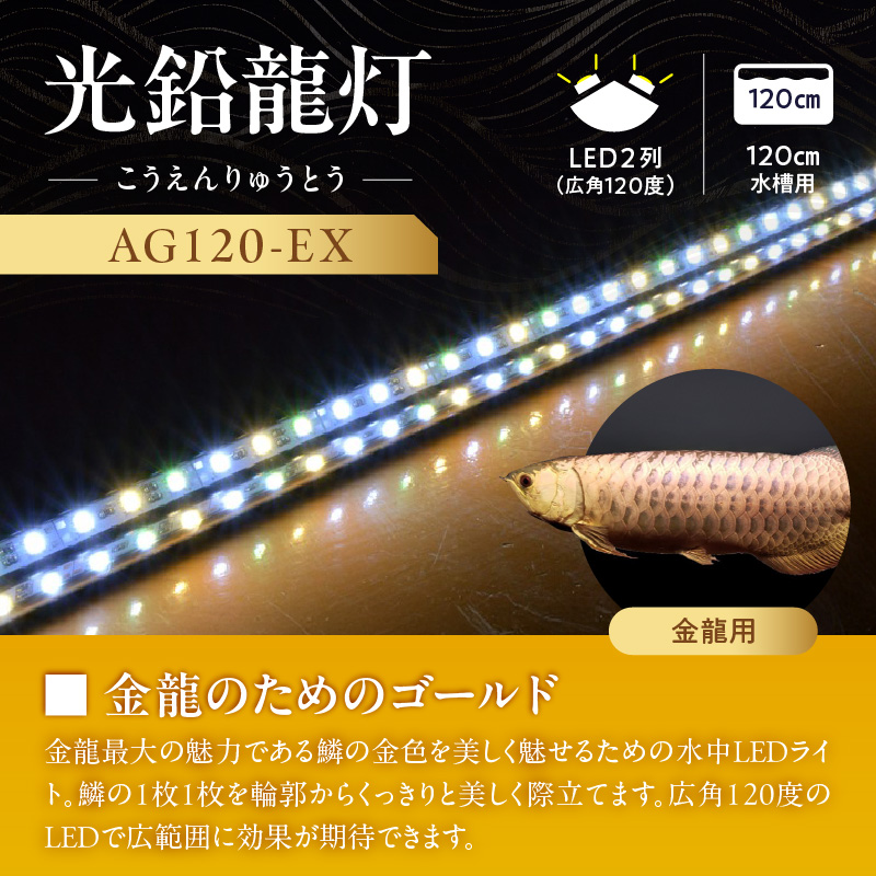 水槽全体を明るく照らし、鱗を際立たせる!金龍専用の高輝度水中ライト|AG120-EX