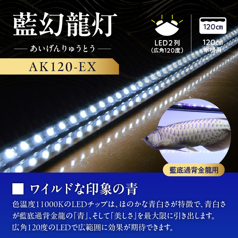 一瞬で綺麗に魅せる!金龍の青を最大限に強調する水中LEDライト|AK120-EX