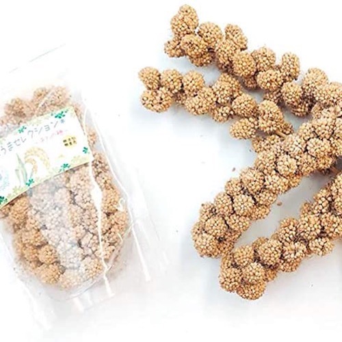 fuu うまうまセレクション 小動物のおやつ（あわの穂）　［ 小動物 野菜 野草 果樹 国産 葉っぱ ナチュラル 無添加 無着色 ペットフード ごはん おやつ えさ 餌 エサ ］