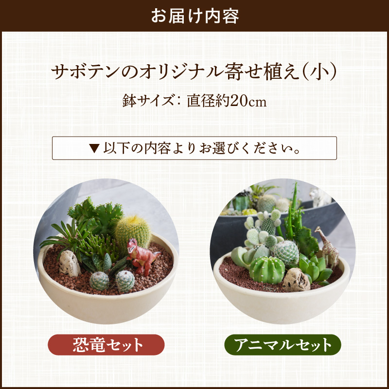 サボテンのオリジナル寄せ植え（小）【恐竜セット】