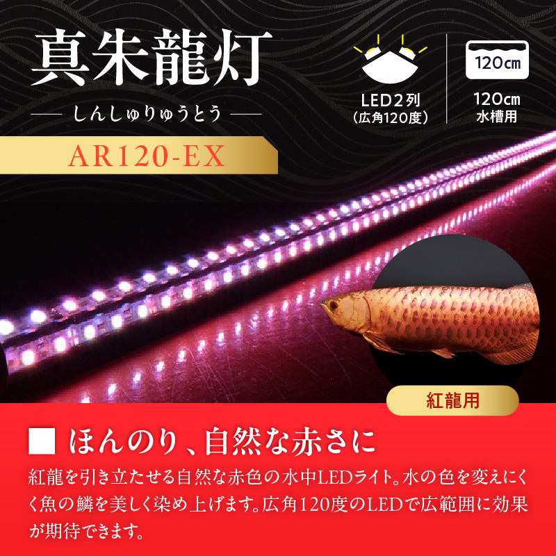変化を体感!水を赤くせず、紅龍だけ美しく魅せる水中LEDライト|AR120-EX