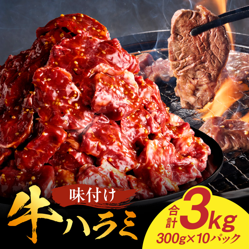 【食肉総合卸 丸正】牛ハラミ味付け 3.0kg
