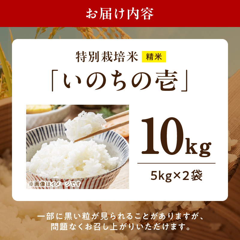 【R8年産新米 先行受付】特別栽培米「いのちの壱」（10kg）＜農家直送＞［208K02］