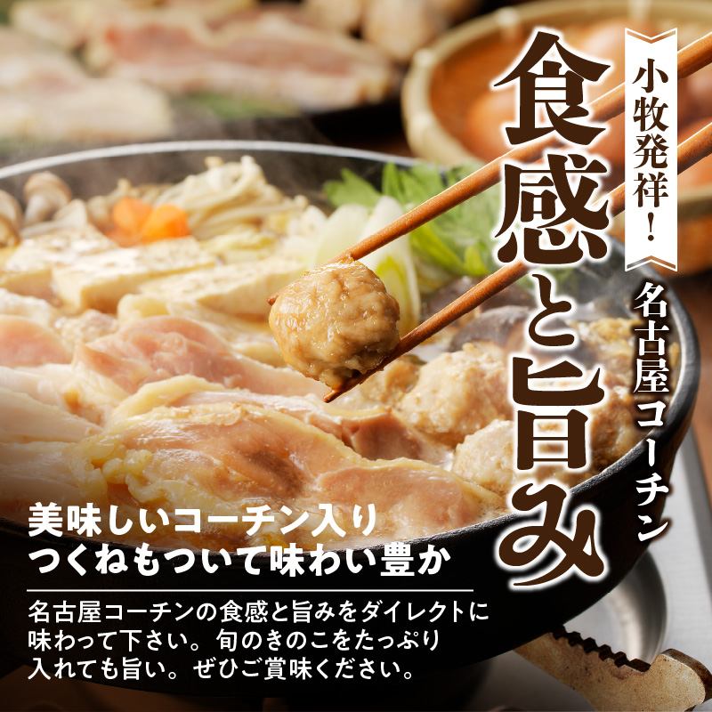 名古屋コーチンすき焼き（ひきずり）セット わりした付き 日本三大地鶏 鶏すき焼き 鍋セット 鶏肉 鍋料理 郷土料理
