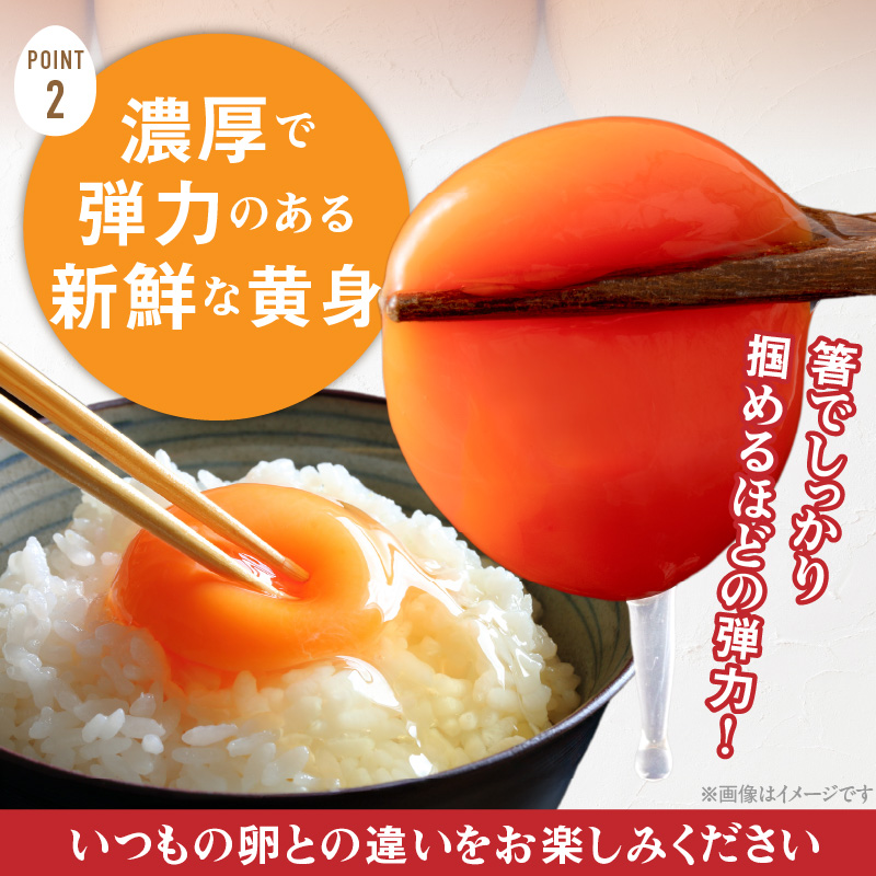 【6ヶ月定期便】【山ちゃん家の生みたて葉酸たまご】名古屋コーチン卵・赤玉元気卵 食べ比べセット（各20個 合計40個入り）