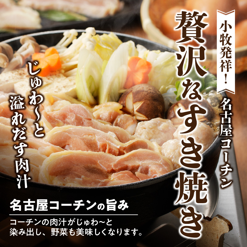 名古屋コーチンすき焼き（ひきずり）セット わりした付き 日本三大地鶏 鶏すき焼き 鍋セット 鶏肉 鍋料理 郷土料理
