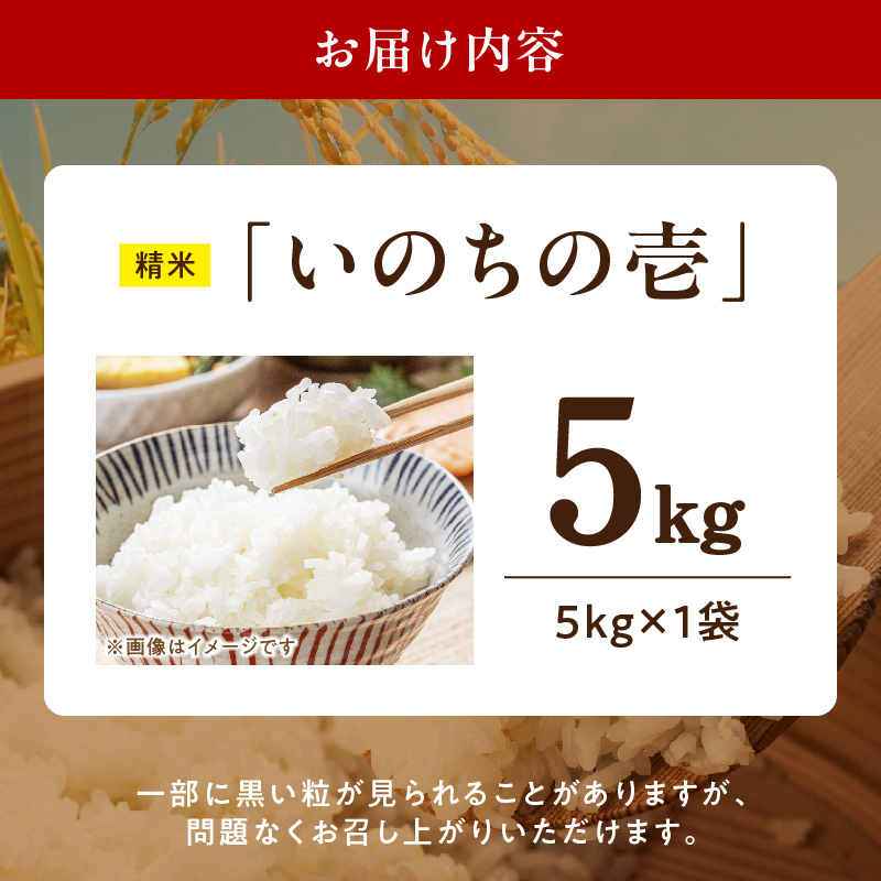 R7年産　「いのちの壱」（5kg）＜農家直送＞［208K09］