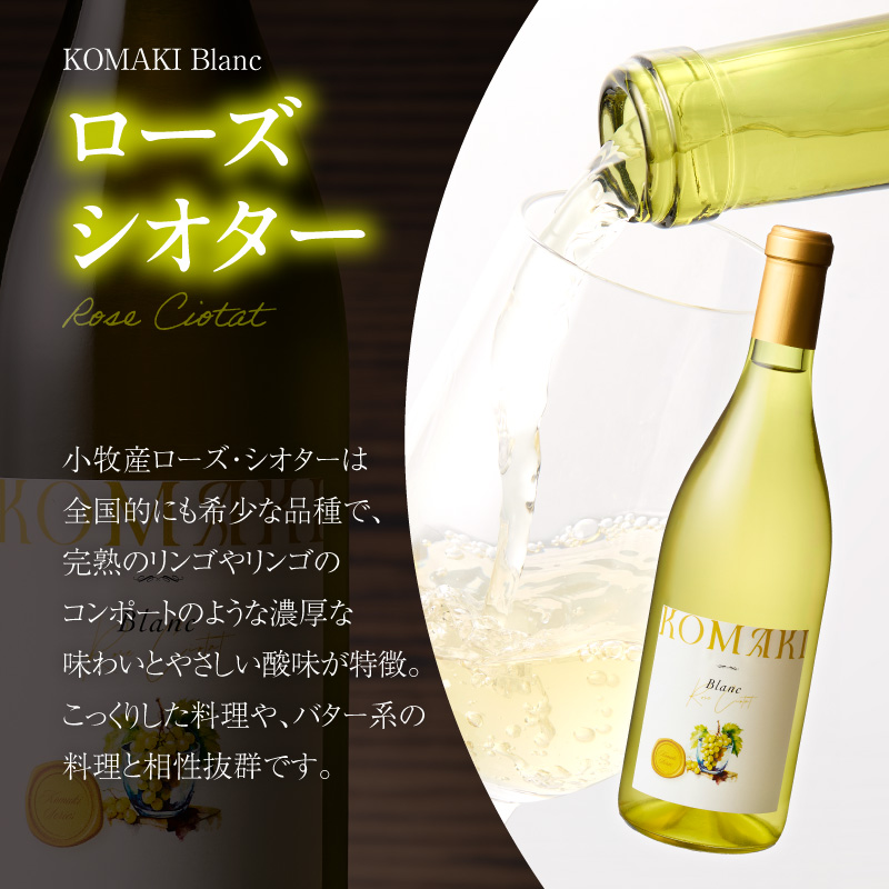 小牧ワイナリ―　赤・白ワイン２本セット（小牧産ぶどう100％使用）　［ ワイン 軽口 葡萄 ぶどう ブドウ ヤマ・ソービニオン ローズ・シオター 国産 酒 飲料 アルコール ギフト 贈り物 贈答 ］