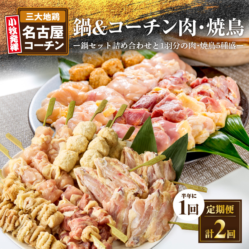 【半年に1回　計2回定期便】名古屋コーチン鍋&名古屋コーチン1羽分セット・名古屋コーチン焼鳥セット 日本三大地鶏 鍋セット 鶏肉 もも肉 むね肉 ササミ 肉団子 鍋料理 焼き鳥セット ［001T08-T］