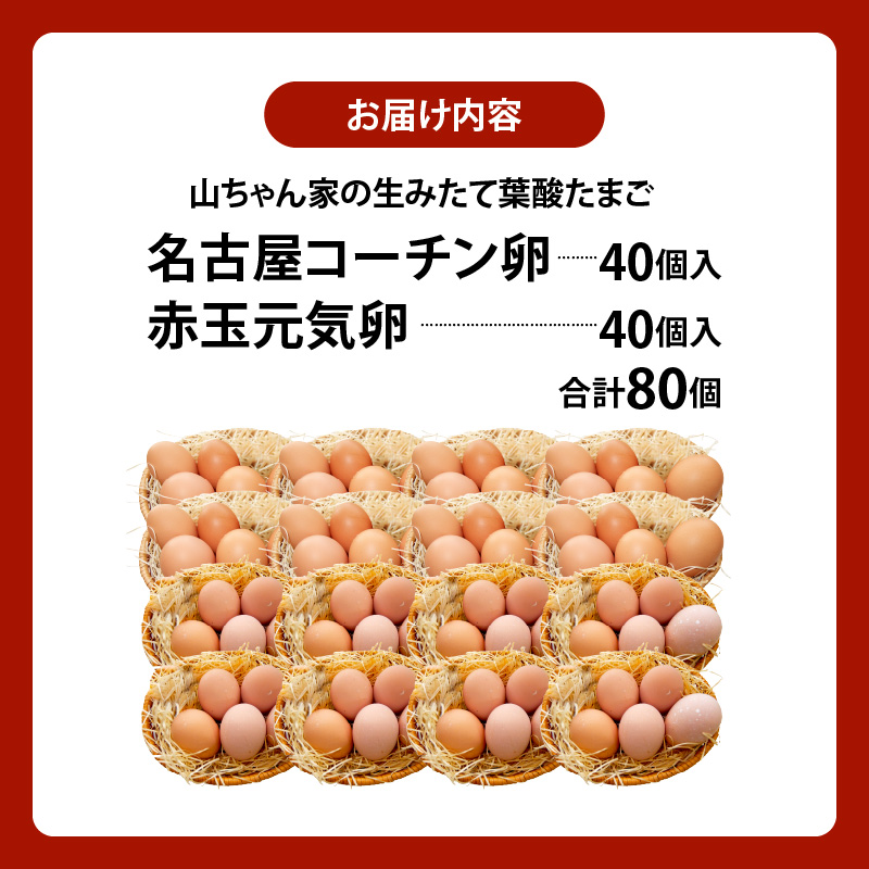 【山ちゃん家の生みたて葉酸たまご】名古屋コーチン卵・赤玉元気卵 食べ比べセット（各40個 合計80個入り）