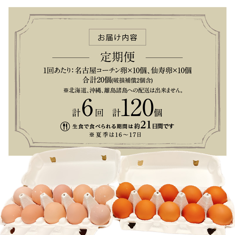 【6ヶ月定期便】名古屋コーチン卵・仙寿卵お試しセット（各10個入り）×6回（計各60個）