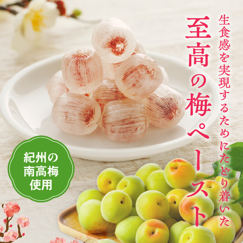 生梅飴 梅キャンディ 梅飴 紀州 南高梅 梅肉エキス ペースト お菓子 あめ キャンディー 飴 個包装 袋 リボン RIBON