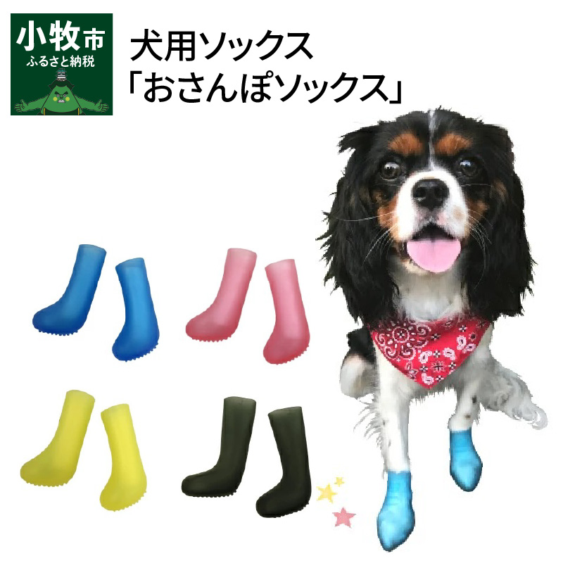 犬用ソックス  「おさんぽソックス」　⑧SSサイズ×ブラック
