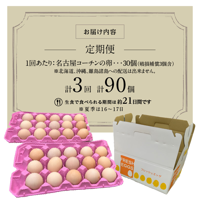 【3ヶ月定期便】名古屋コーチン卵(30個入り)×3回（計90個）