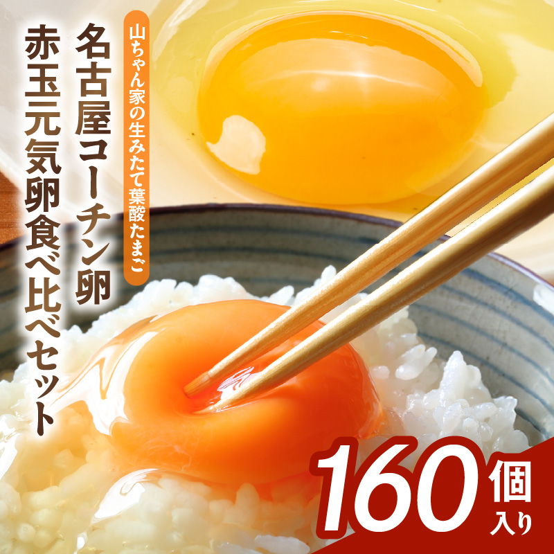 【山ちゃん家の生みたて葉酸たまご】名古屋コーチン卵・赤玉元気卵 食べ比べセット（各80個 合計160個入り）