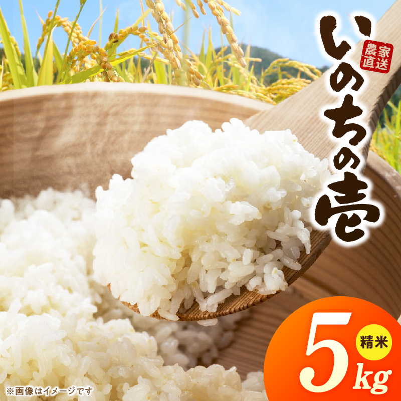 R7年産　「いのちの壱」（5kg）＜農家直送＞［208K09］