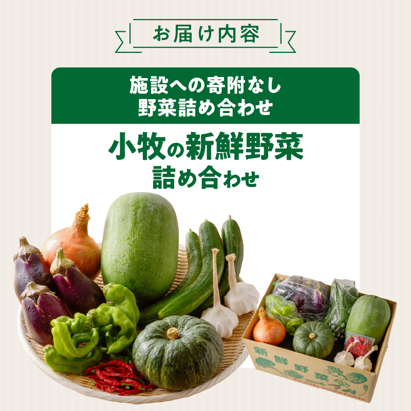 ネオコスモ農園で採れた小牧の野菜詰め合わせ　［ 新鮮 産地直送 採れたて 旬野菜 おまかせ 季節野菜 詰合せ セット 大容量 トマト ナス ピーマン かぼちゃ 冬瓜 ショウガ ネギ にんにく じゃがいも さつまいも 玉ねぎ など］