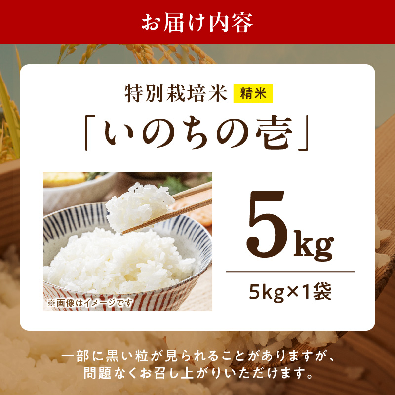 【R8年産新米 先行受付】特別栽培米「いのちの壱」（5kg）＜農家直送＞［208K01］