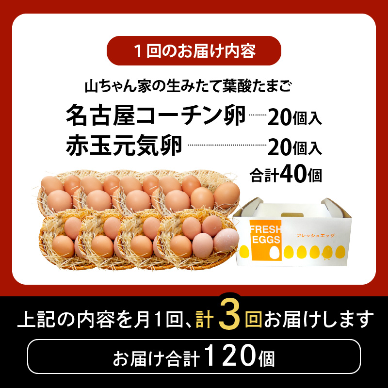 【3ヶ月定期便】【山ちゃん家の生みたて葉酸たまご】名古屋コーチン卵・赤玉元気卵 食べ比べセット（各20個 合計40個入り）