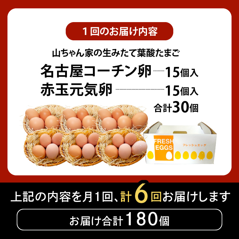【6ヶ月定期便】【山ちゃん家の生みたて葉酸たまご】名古屋コーチン卵・赤玉元気卵 食べ比べセット（各15個 合計30個入り）