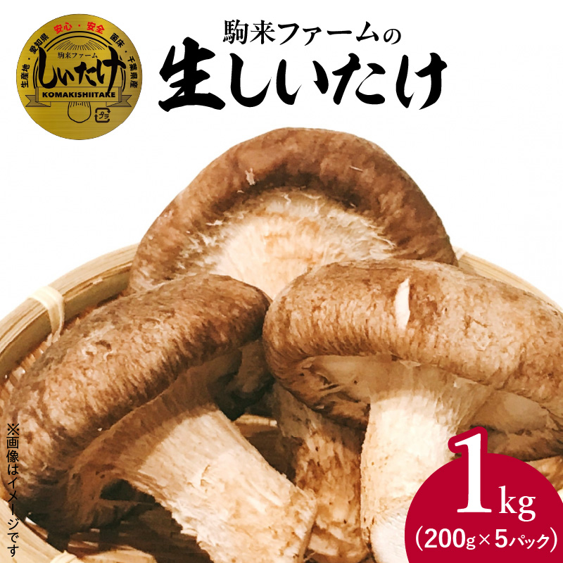 駒来ファームの 極上・肉厚 生しいたけ（生シイタケ 生椎茸 ）