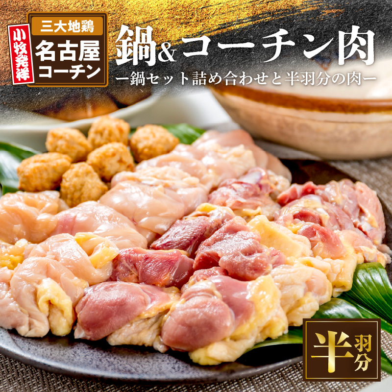 名古屋コーチン鍋セット&追い肉 名古屋コーチン半羽分（350g）セット 日本三大地鶏 鍋セット 鶏肉 もも肉 むね肉 ササミ 肉団子 鍋料理