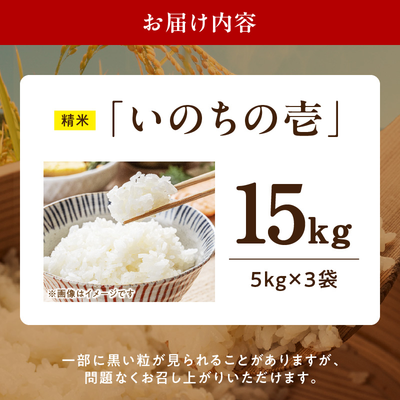 R7年産　「いのちの壱」（15kg）＜農家直送＞［208K11］
