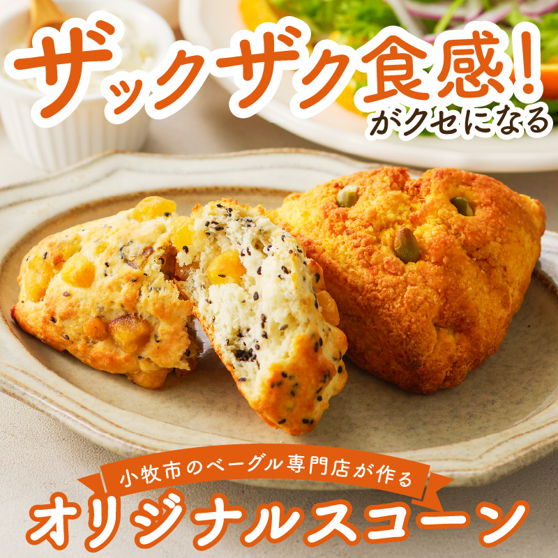 【ザクザクスコーン】ベーグル専門店pan de pan 888のおまかせスコーンセット（10個入り）［焼きたてスコーン オリジナルスコーン 人気 季節限定 食べ比べ 詰め合わせ 菓子 パン 抹茶 チョコレート］