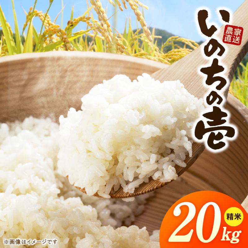R7年産　「いのちの壱」（20kg）＜農家直送＞［208K12］