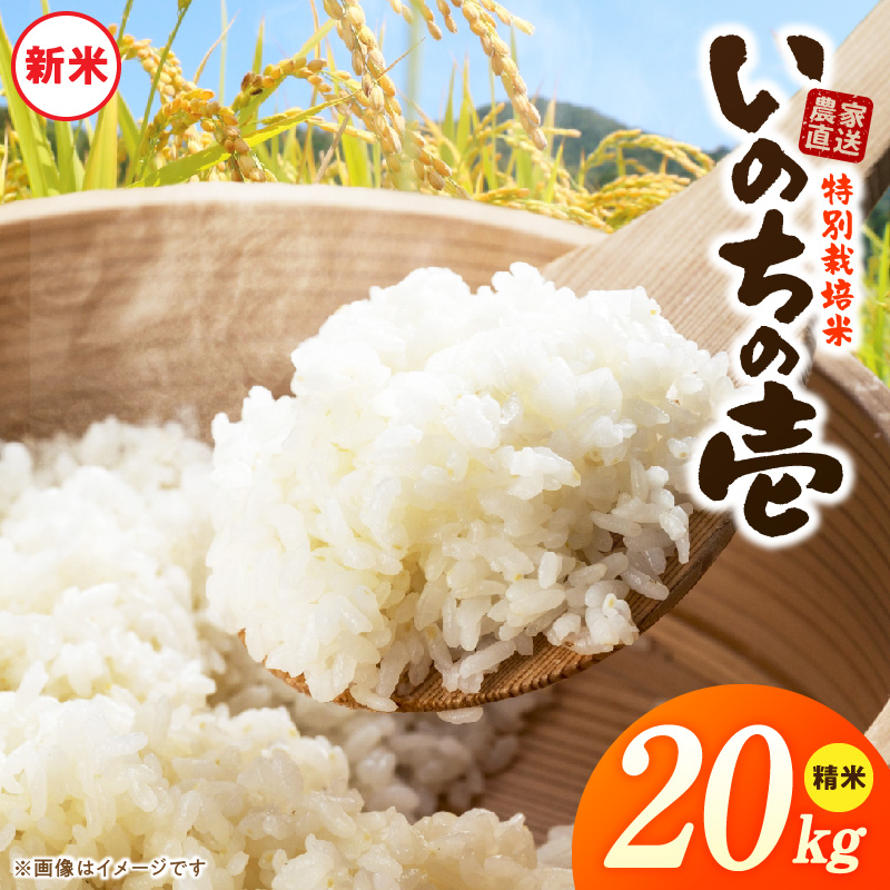 【R8年産新米 先行受付】特別栽培米「いのちの壱」（20kg）＜農家直送＞［208K04］