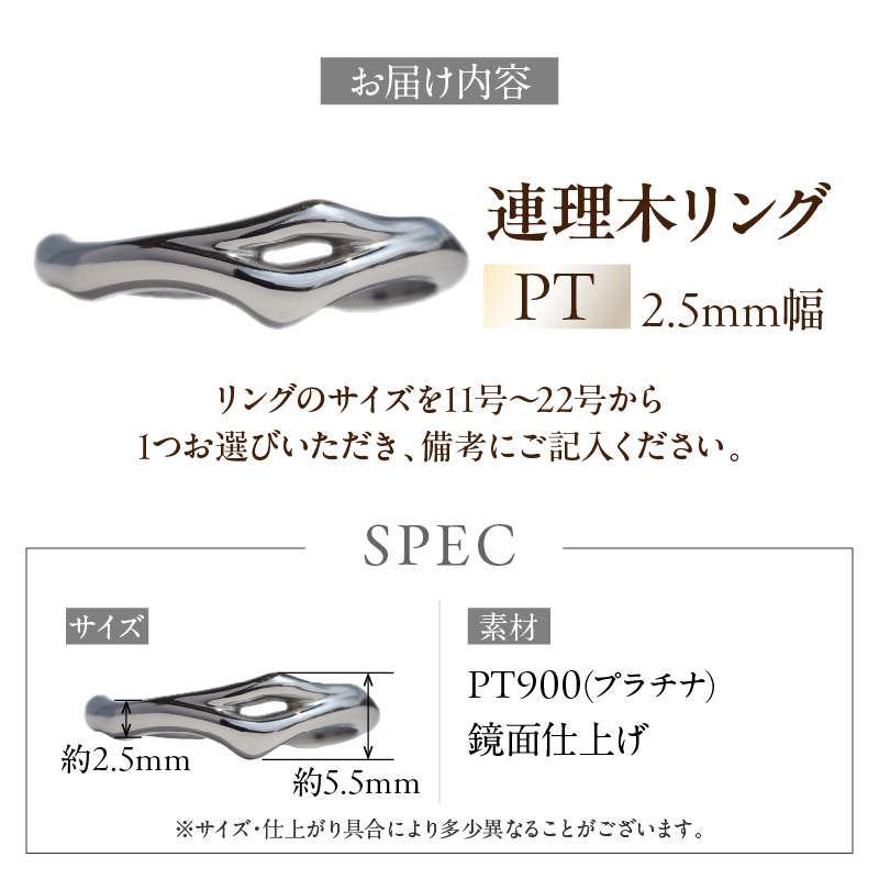 PT連理木リング〈2.5mm幅〉(22号) ［016K33-12］