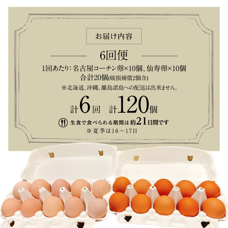 【6回便】名古屋コーチン卵・仙寿卵お試しセット（各10個入り）×6回（計各60個） ［006K04-T］