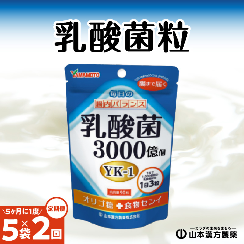 ＜5ヶ月に1度、2回送付定期便＞乳酸菌粒