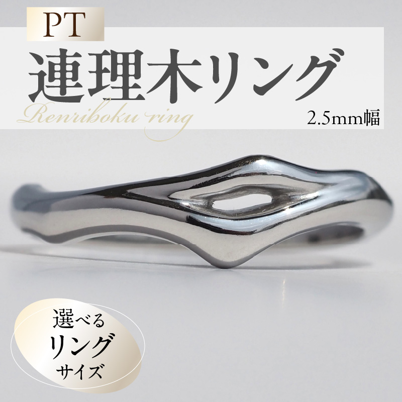 PT連理木リング〈2.5mm幅〉(15号) ［016K33-05］