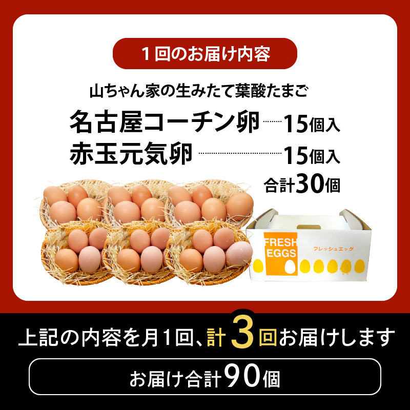 【3ヶ月定期便】【山ちゃん家の生みたて葉酸たまご】名古屋コーチン卵・赤玉元気卵 食べ比べセット（各15個 合計30個入り）