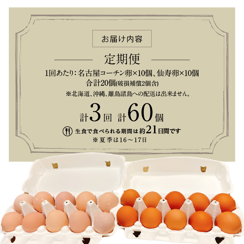 【3ヶ月定期便】名古屋コーチン卵・仙寿卵お試しセット（各10個入り）×3回（計各30個）