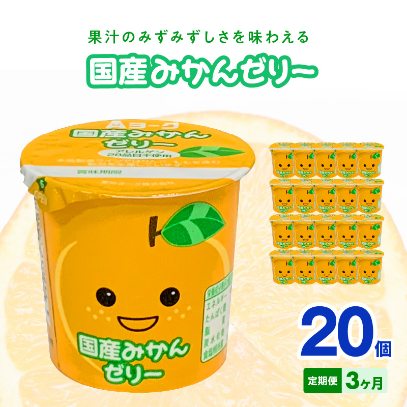 【3ヶ月定期便】愛知ヨーク　国産みかんゼリー　20個入