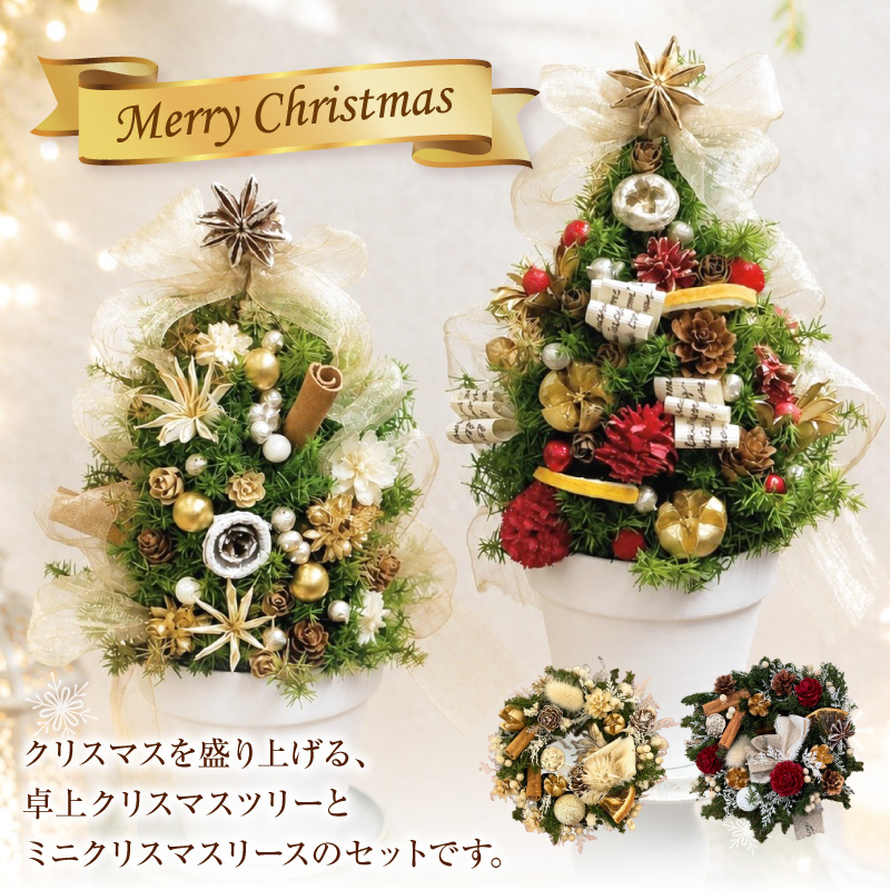 クリスマスツリーとクリスマスリース セット ［133O19］