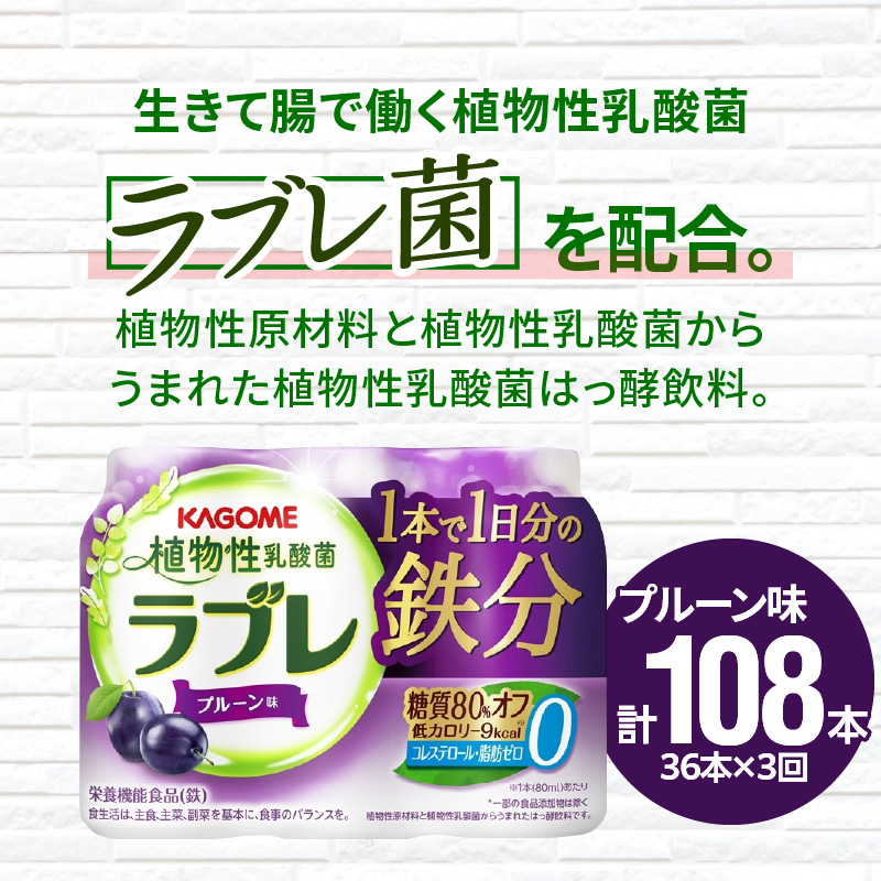 【3ヶ月定期便】植物性乳酸菌ラブレ　1日分の鉄分36本（計108本）