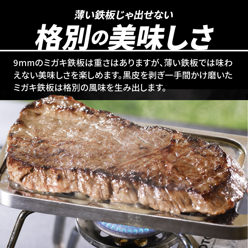 鍛冶屋の頓珍漢 ミガキ鉄板Z152T9(特製ステンレス製ハンドル付)