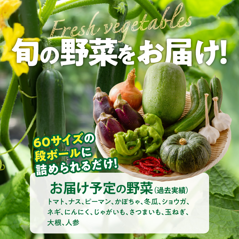 ネオコスモ農園で採れた小牧の野菜詰め合わせ　［ 新鮮 産地直送 採れたて 旬野菜 おまかせ 季節野菜 詰合せ セット 大容量 トマト ナス ピーマン かぼちゃ 冬瓜 ショウガ ネギ にんにく じゃがいも さつまいも 玉ねぎ など］